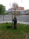 SAM_1708